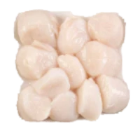 Scallops