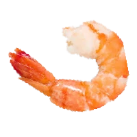 Shrimp