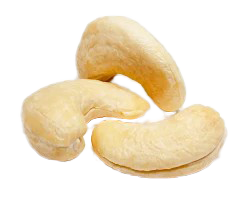Cashew Nut
